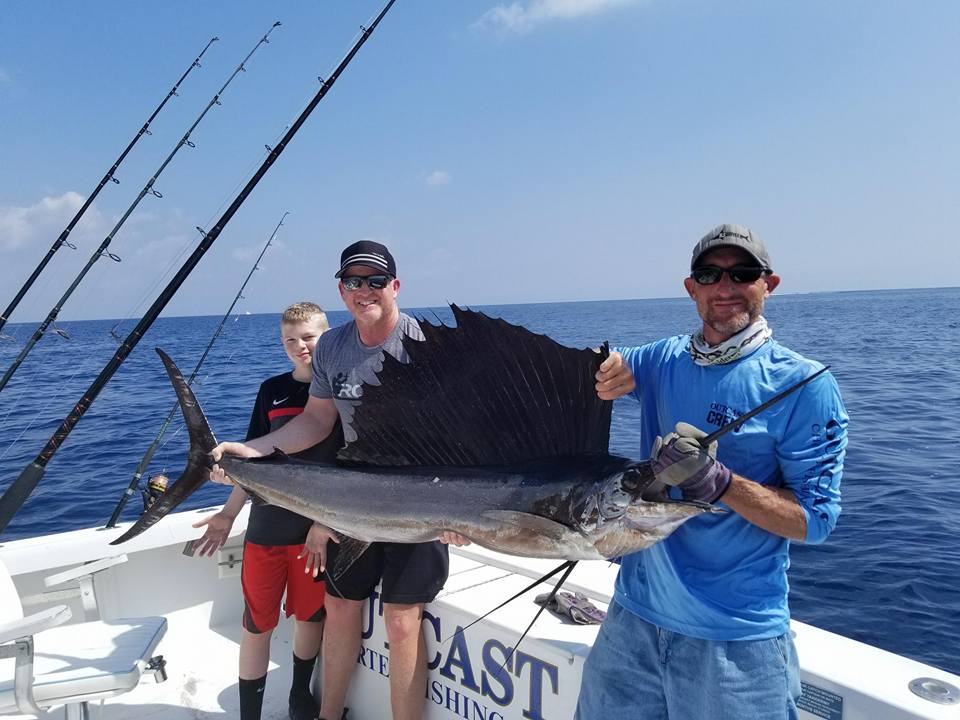 Sailfish