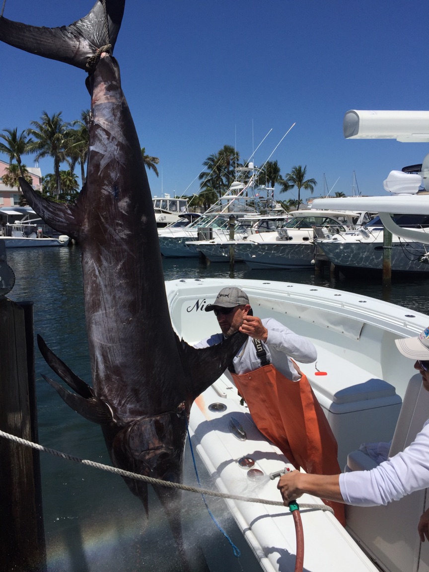Swordfish