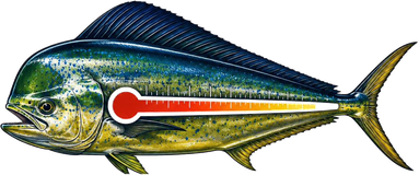 Fishing LaFever mahi mark